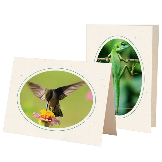 765A - Natural, Oval Window, Amazon Green Border, Blank Back, set of 10 cards