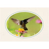 765A - Natural, Oval Window, Amazon Green Border, Blank Back, set of 10 cards