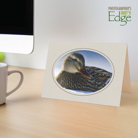 765BK - Natural, Oval Window, Raven Black Border, Blank Back, set of 10 cards