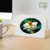 815A - Bright White, Oval Window, Amazon Green Border, Blank Back, set of 10 cards