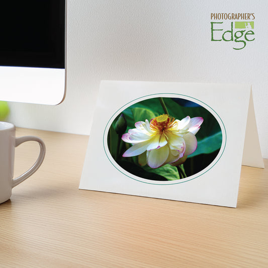815A - Bright White, Oval Window, Amazon Green Border, Blank Back, set of 10 cards