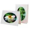 815A - Bright White, Oval Window, Amazon Green Border, Blank Back, set of 10 cards