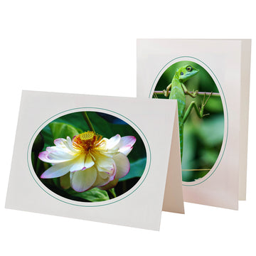 815A - Bright White, Oval Window, Amazon Green Border, Blank Back, set of 10 cards