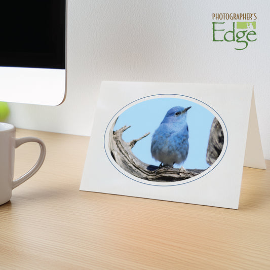 815M - Bright White, Oval Window, Midnight Blue Border, Blank Back, set of 10 cards