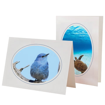 815M - Bright White, Oval Window, Midnight Blue Border, Blank Back, set of 10 cards