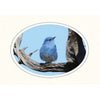 815M - Bright White, Oval Window, Midnight Blue Border, Blank Back, set of 10 cards
