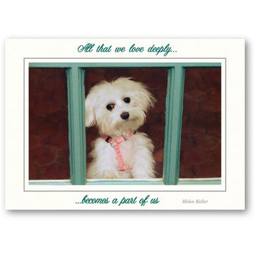 822 - Bright White, All that we love..., Horizontal, set of 10 cards