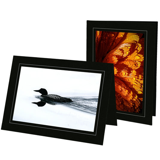 858 - Black, Silver Border, Blank Back, set of 10 cards