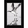 858 - Black, Silver Border, Blank Back, set of 10 cards