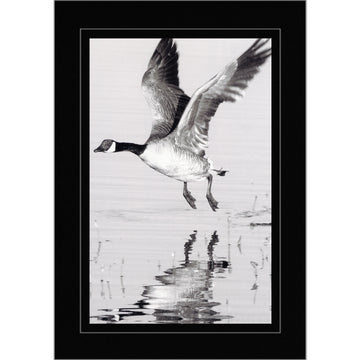 858 - Black, Silver Border, Blank Back, set of 10 cards