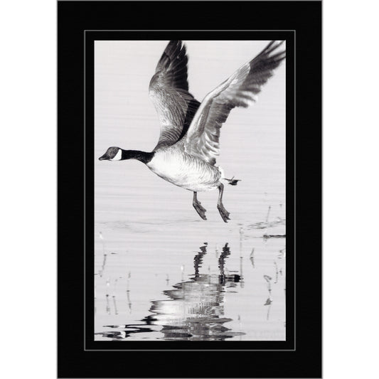 858 - Black, Silver Border, Blank Back, set of 10 cards