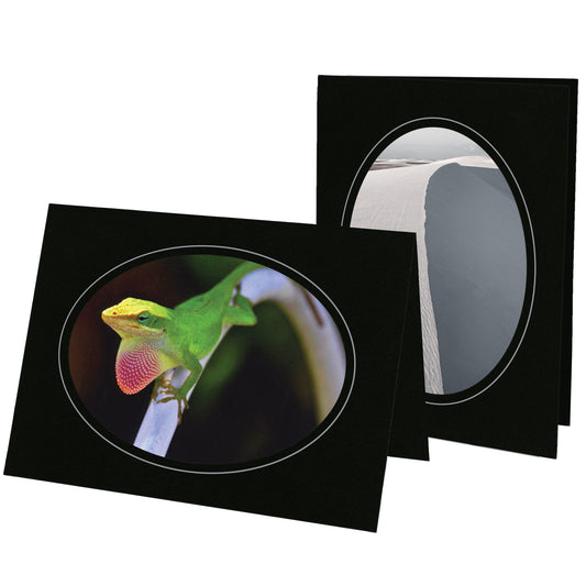 859 - Black, Oval Window, Silver Border, Blank Back, set of 10 cards