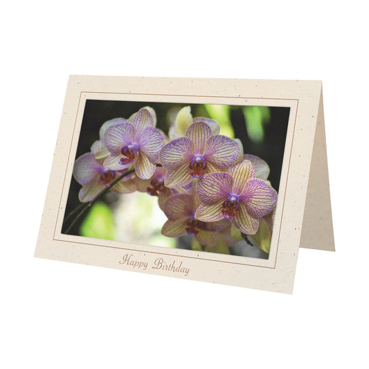 962 - Natural, Happy Birthday, Horizontal, set of 10 cards