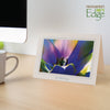 964 - Natural, Get Well Soon, Horizontal, set of 10 cards
