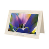 964 - Natural, Get Well Soon, Horizontal, set of 10 cards
