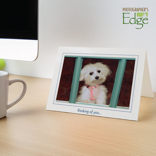 968 - Bright White, thinking of you..., Horizontal, set of 10 cards