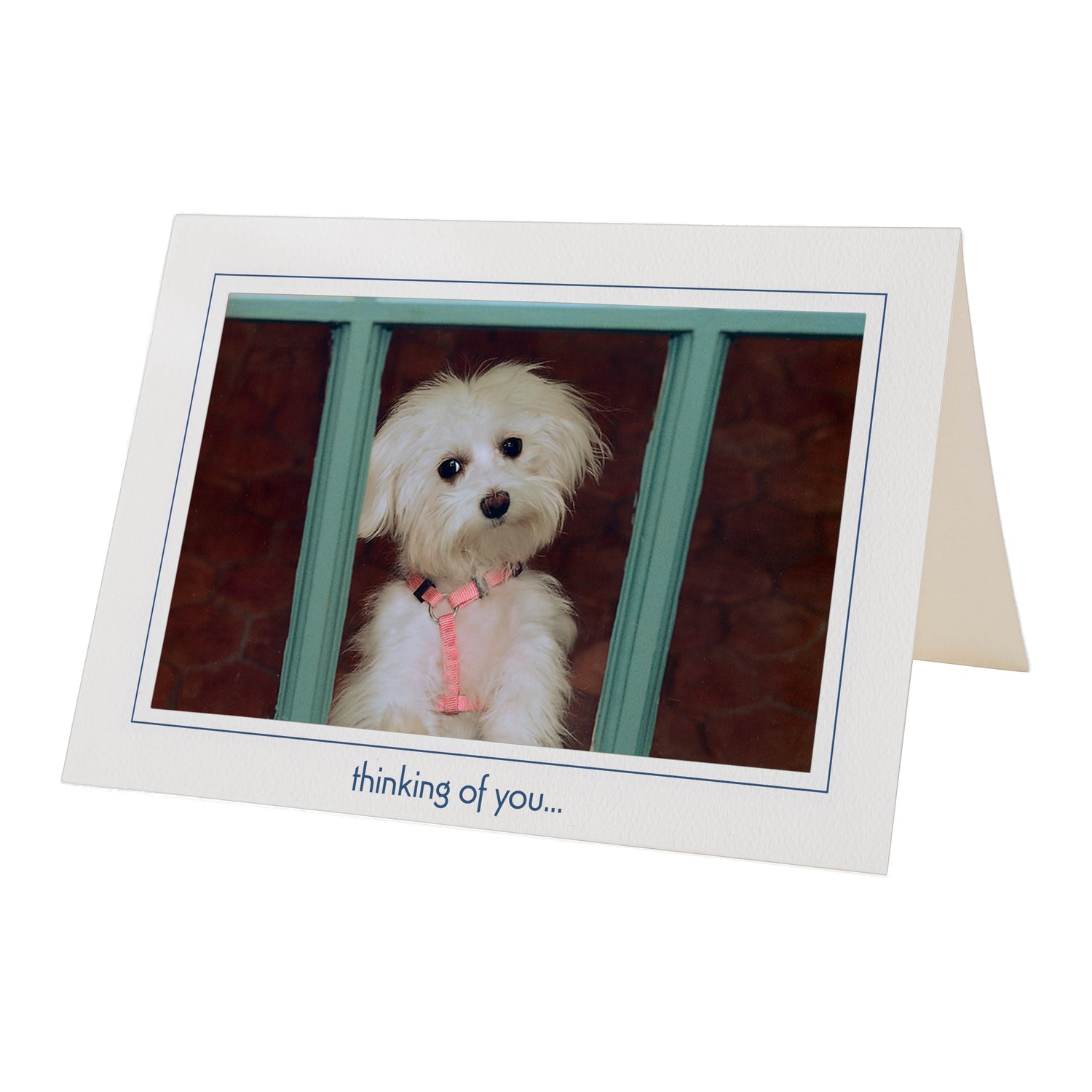 Thinking of you cards
