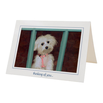 968 - Bright White, thinking of you..., Horizontal, set of 10 cards