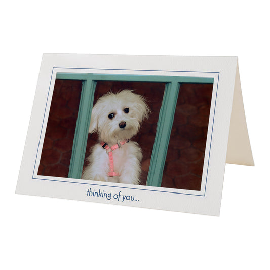 968 - Bright White, thinking of you..., Horizontal, set of 10 cards