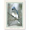 975 - Natural, Peace Joy Hope, Vertical, set of 10 cards