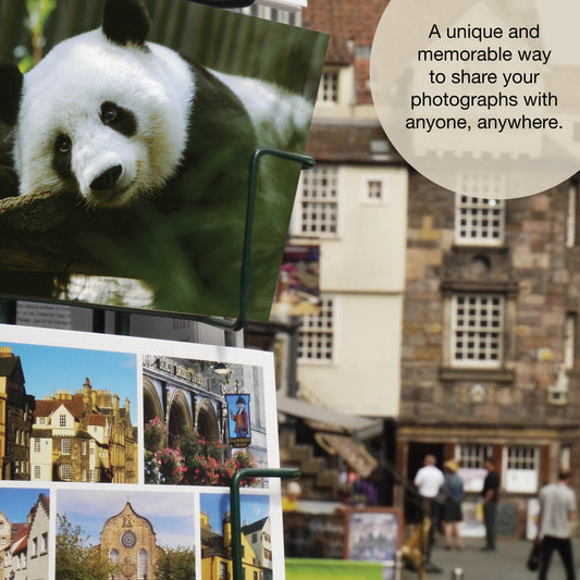 A1353 - Postcards 4 x 6 (pkg of 25)