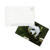 A1353 - Postcards 4 x 6 (pkg of 25)