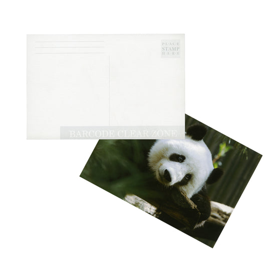 A1353 - Postcards 4 x 6 (pkg of 25)