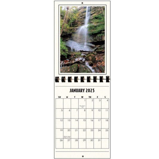 100-Pack A994 Vertical Wall Calendars