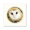 CC326 - Bright White, Circle Window, Raven Black Border, Blank Back, set of 10 cards