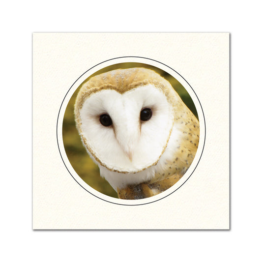 CC326 - Bright White, Circle Window, Raven Black Border, Blank Back, set of 10 cards