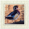 CC336 - Thyme, Square Window, Raven Black Border, Blank Back, set of 10 cards