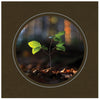 CC347 - Chocolate, Circle Window, Silver Border, Blank Back, set of 10 cards