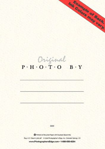 1006 - Bright White, Wishing you a..., Vertical, set of 10 cards